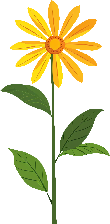 HeliopsisHelianthoides